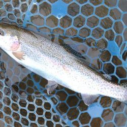 強風に苦戦 ～天竜川ルアーフライ専用区～